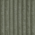 Tilia 37